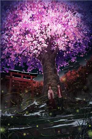 阮雾陆宴祁小说免费阅读阅读全集