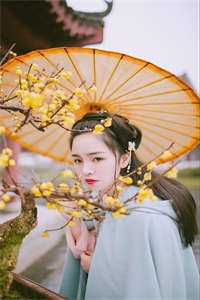 精选全文清穿小福晋易安结局