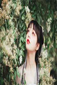《全集小说推荐算一卦她竟被全球大佬求着下山荣砚》沈般若荣砚火爆新书_全集小说推荐算一卦她竟被全球大佬求着下山荣砚(沈般若荣砚)最新热门小说