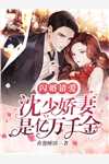 闪婚一百天全文完结
