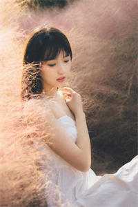蚀骨囚婚阅读全集