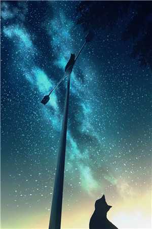 长篇小说周曜迟渺《完结版迟渺周曜完整文集》免费阅读_(完结版迟渺周曜完整文集)完整版在线阅读