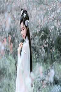 锦鲤小福宝重生啦畅销书目