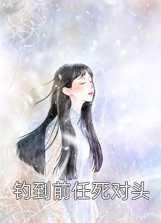 完整文本崩坏三：我是第十四英桀
