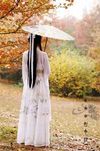 开局被退婚，绝世女将要嫁我石榴花开精品全篇