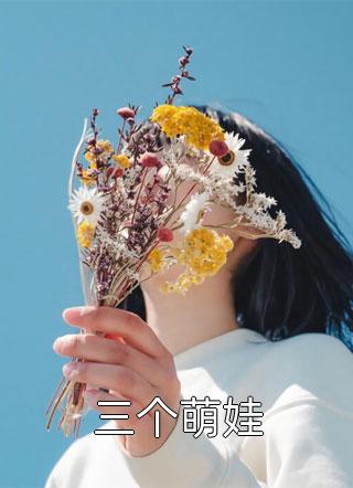 护美医圣全文章节