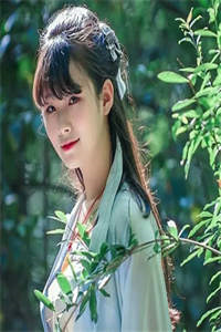 全本小说阅读蜜汁追妻