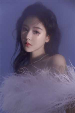 畅销小说我抓我自己