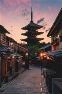 全集阅读总裁请勿扰，原配已重生（甄星窈陆钰）全文免费阅读无弹窗大结局_全集阅读总裁请勿扰，原配已重生最新章节列表