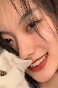 全文贝小爱