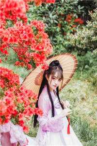 全文小说与美女房客合租后