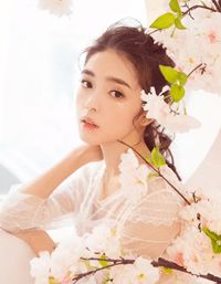 姜枫陆扬尘《被京圈太子爷抛弃后，我远嫁东北畅读精品小说》全文免费阅读_被京圈太子爷抛弃后，我远嫁东北畅读精品小说全集在线阅读