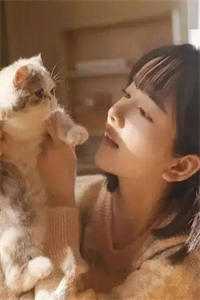 婚期365天完整版免费阅读