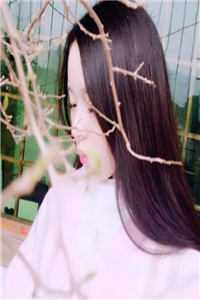 全集小说推荐太子妃她柔美可人：冷酷太子掌中宝