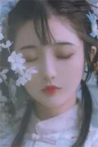 手撕白莲花：炮灰女的逆袭之路精品全篇