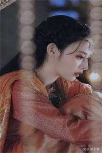 掠爱甜婚：太子强娶她入东宫精选小说