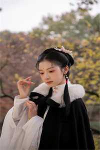 精品文修仙：癞蛤蟆的妖修日常