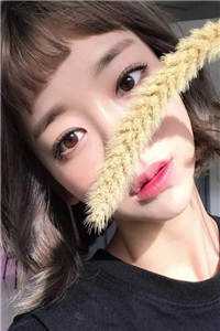 饲犬全本小说推荐