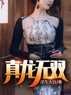 全集小说魂穿成苏辙老婆