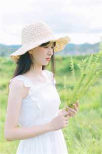 草根官场：一路攀上权力高峰全章节阅读