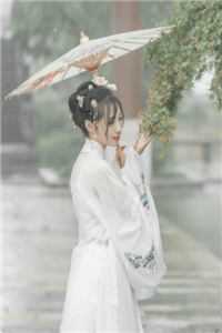 全文小说奇门圣主
