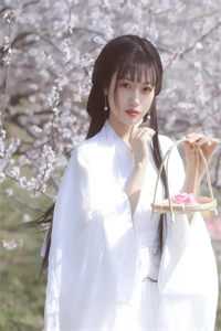 精品选集三国：开局被塞美人，这主公值