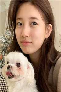 反向带球跑：女总裁你往哪逃精品全集