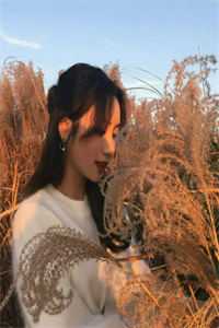 假太监：从推倒太子妃开始长篇小说阅读