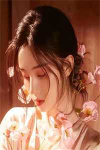 我的替嫁女总裁畅读全文