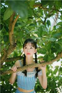 荒年锦鲤：开枝散叶，美女找上门畅销小说推荐