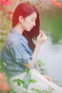 全本小说陆峰阿昕