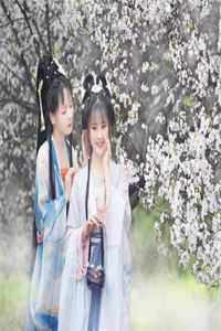 宁夜辰洛如缨小说叫什么
