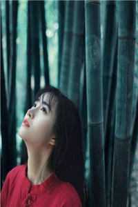 长篇小说花枝宋贵妾《云香鬓乱》免费阅读_(云香鬓乱)完整版在线阅读