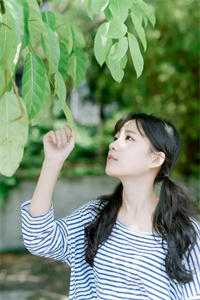 司沁儿晏林桓(司沁儿晏林桓)完结版免费阅读_司沁儿晏林桓全文免费阅读
