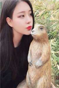 精选小说苏亦承陆卿小说结局是什么
