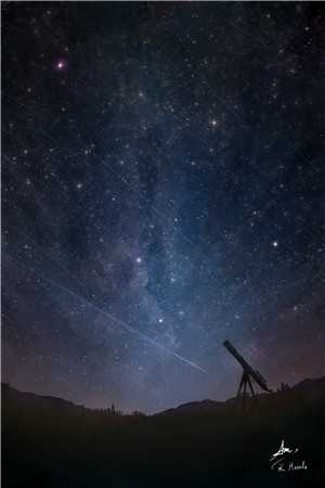 重返十六岁我成了国家队女神(陆小星小星)完结版免费阅读_重返十六岁我成了国家队女神全文免费阅读