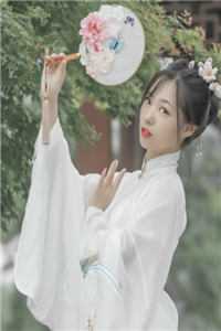 庄子昂苏雨蝶小说