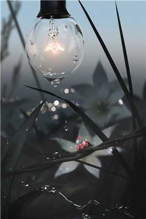叶凌叶凌《诡秘：你管这叫诡秘？！文章精选阅读》完整版在线阅读_叶凌叶凌完整版在线阅读