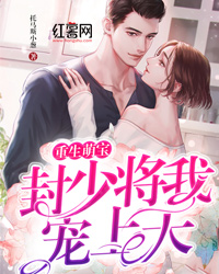 最强狂婿归来