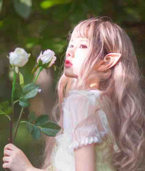 开局反舔狗系统，校花不淡定了完整版
