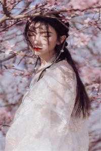李阳熊七《极道武圣：开局大力金刚功全文阅读》最新章节阅读_(李阳熊七)热门小说