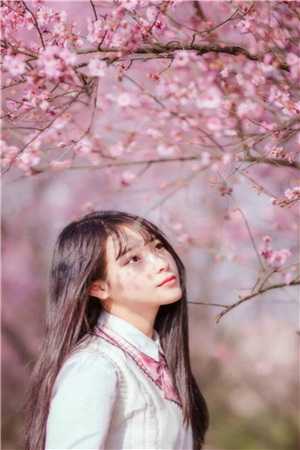 许星颜温京晏