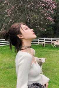 悄悄苟了前年，系统竟让我去当舔狗独孤灵徐霄后续 全文
