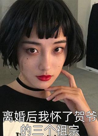 顶级豪婿小说