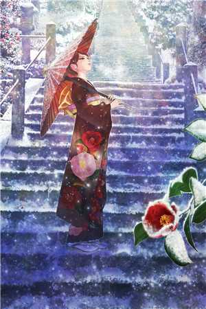 全文章节夫人重生，王爷带全府一起火葬场