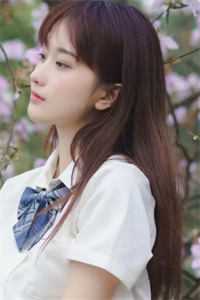 嫌我废物要退婚，我成神你哭什么陈长安顾倾城全文 番茄
