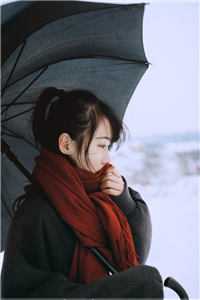 爱上高冷女上司全文陈铁林长河