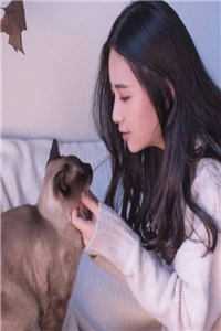 风雪千山春色晚后续 完结