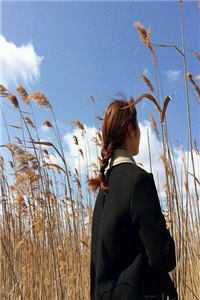 长篇小说开叫《官路芳美人全集》免费阅读_(官路芳美人全集)完整版在线阅读