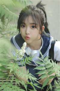心有千千结全文林雨霜傅云深